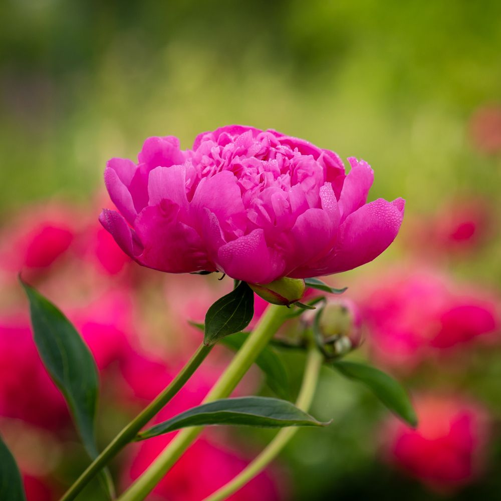 Photograph by Agita Leimane