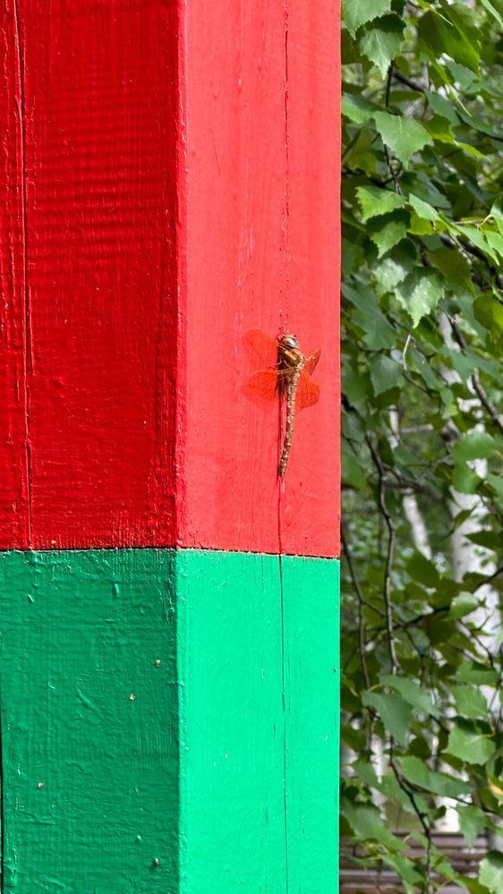 Photograph by Svetlana Kovalchuk