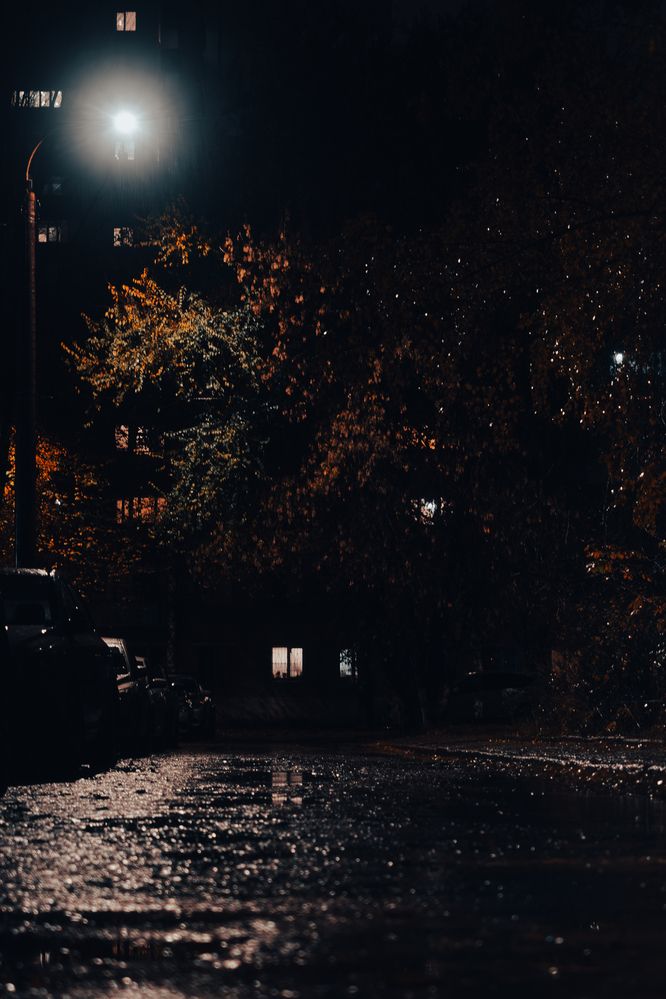 Photograph by Владислав Ефимов