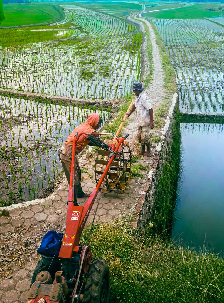 Photograph by Edi Hidayat