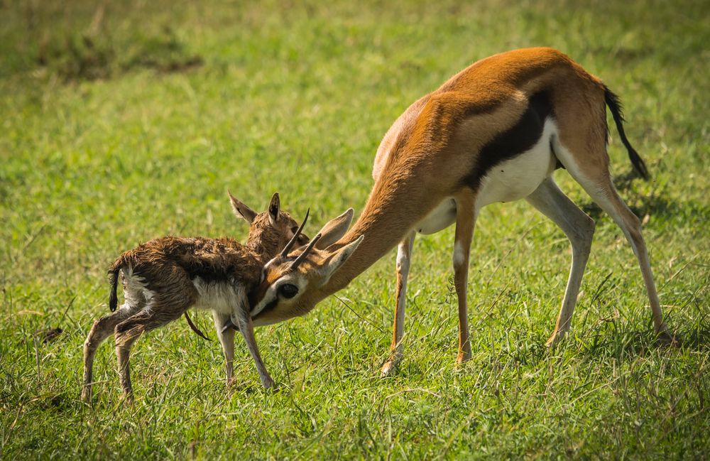 Photograph by Дария Максимова