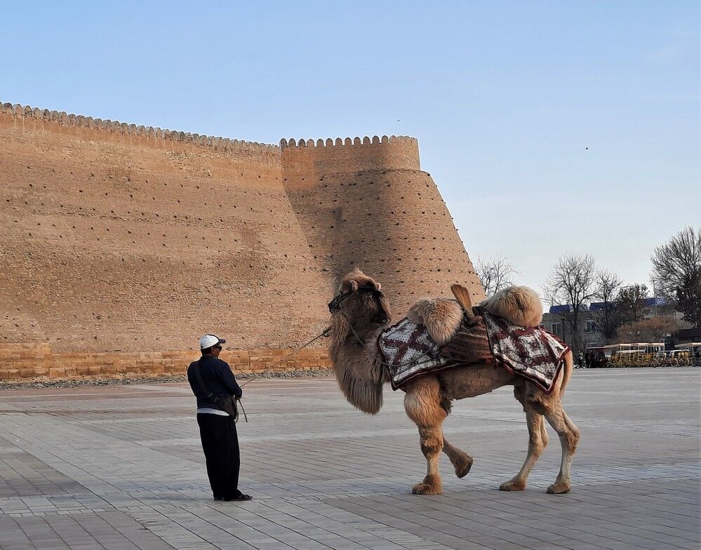 Фотография автора Елена Пикатова