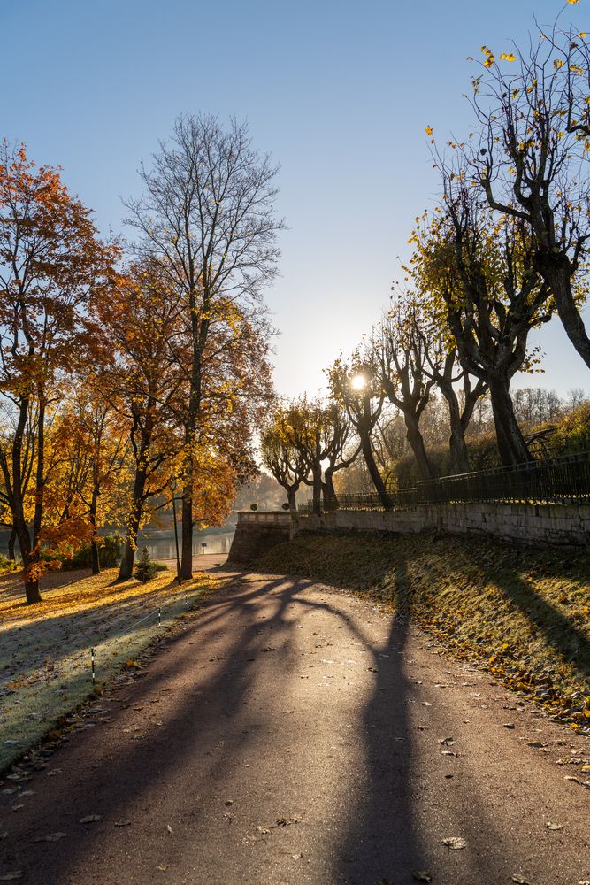 Photograph by Александр Кочергин