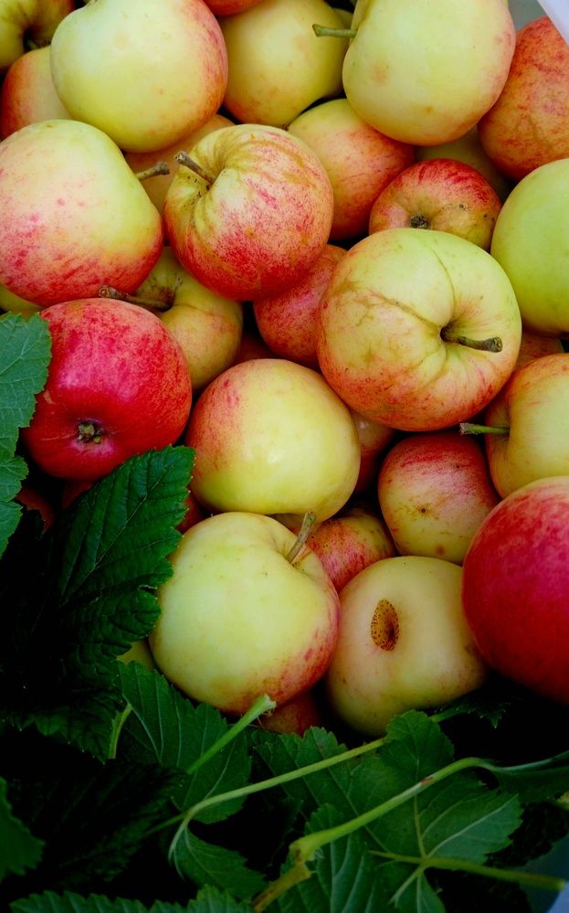 Photograph by Елена Дарьенко