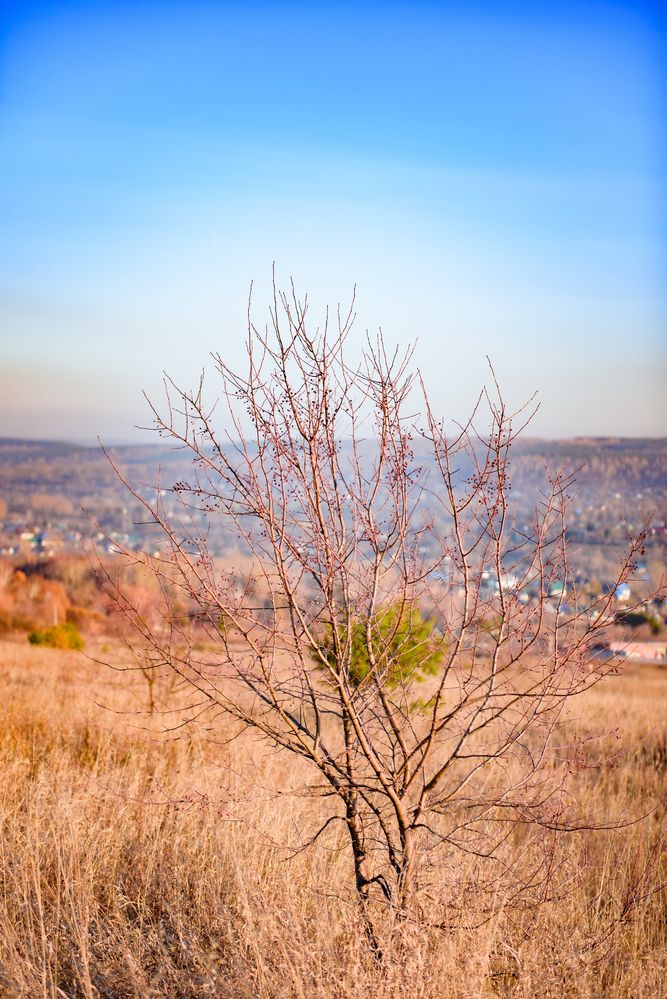 Photograph by Михаил Соколов