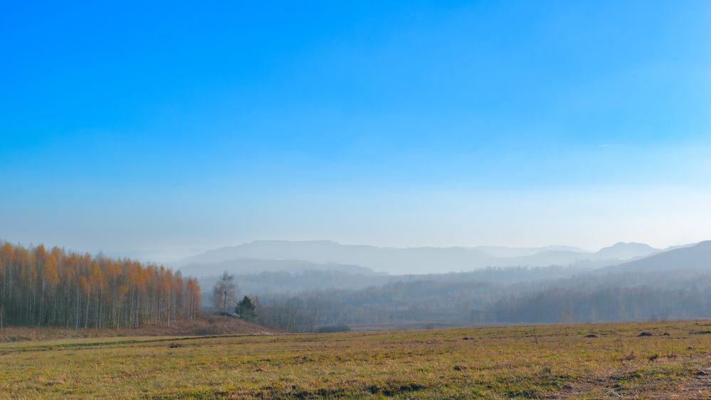 Photograph by Михаил Соколов