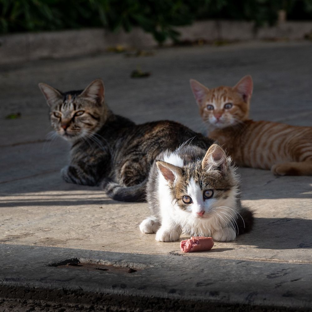 Photograph by Анна Стрелковская