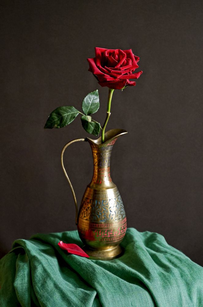 Натюрморт с розой.