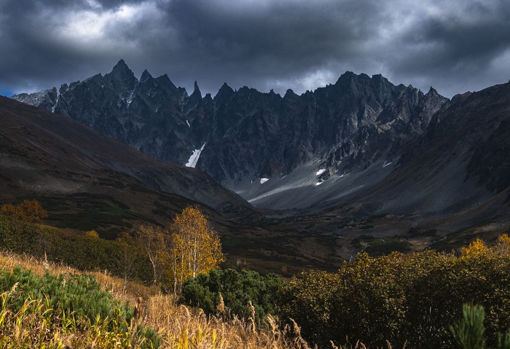 Суровые стражи