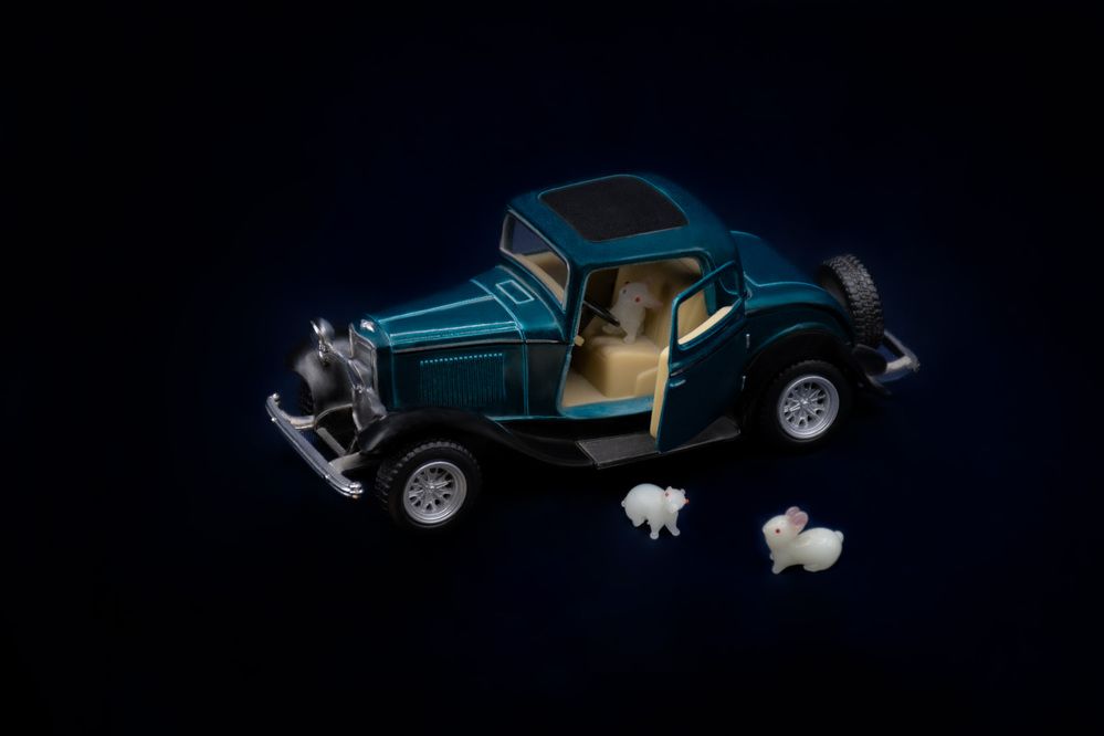 Little mice become drivers.