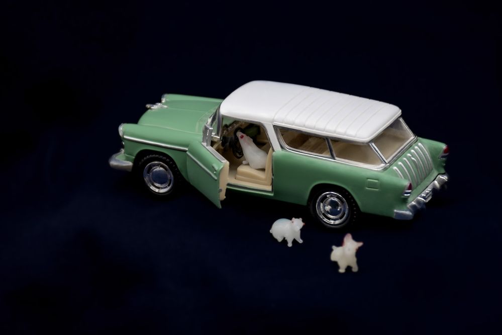 A white mouse driving.