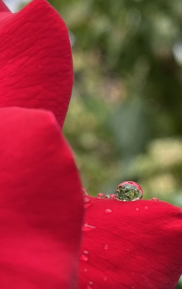 Photograph by Светлана Фесенко