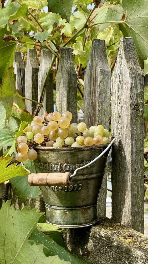 Photograph by Светлана Фесенко