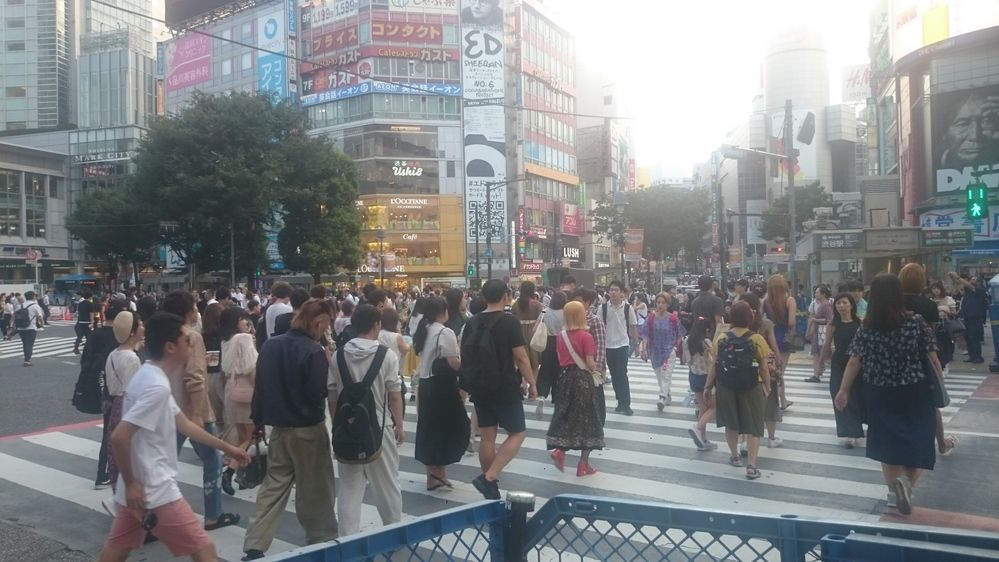 Photograph by Илья Смирнов