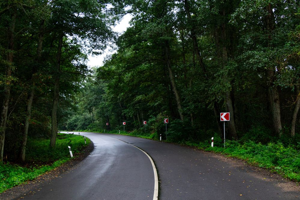 Photograph by Вячеслав Рудинский