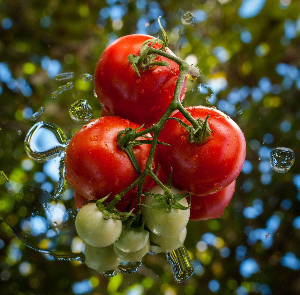 Photograph by Dragan Leles