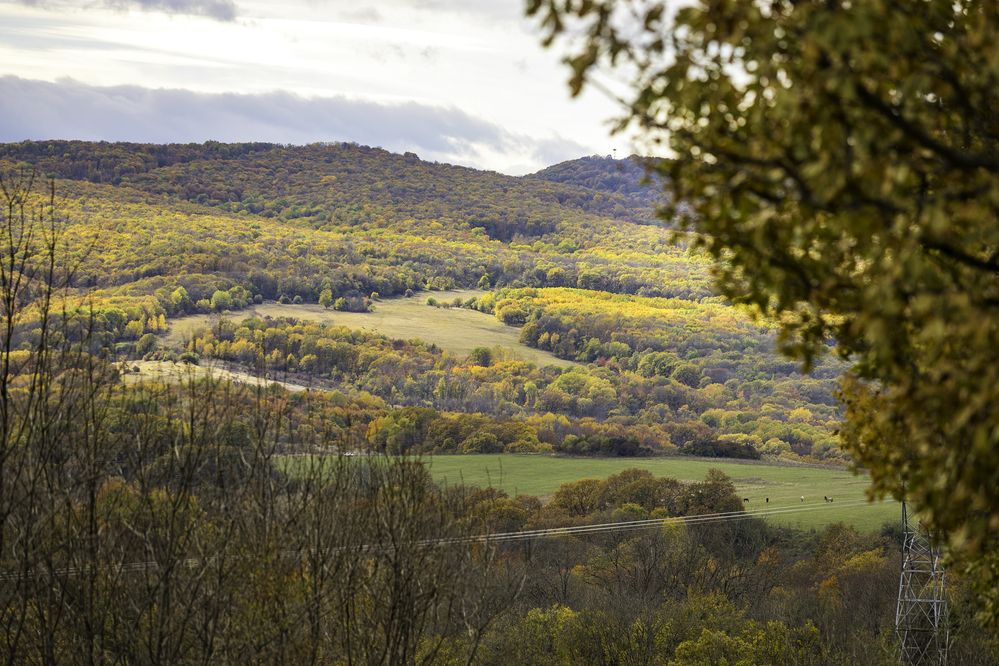Фотография автора Михаил Лупина