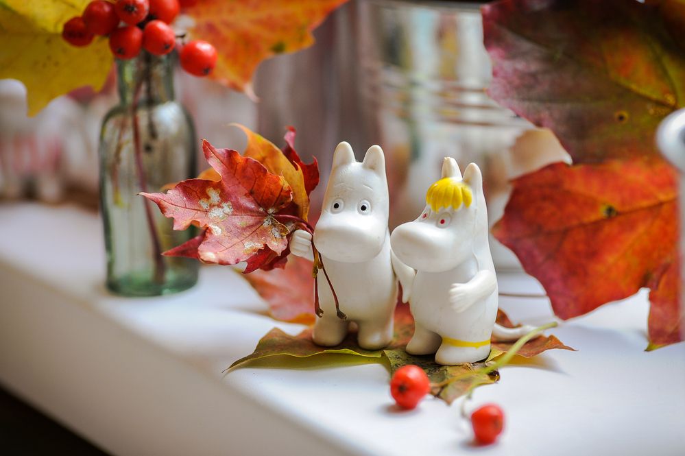 Фотография автора Альбина Хальяк