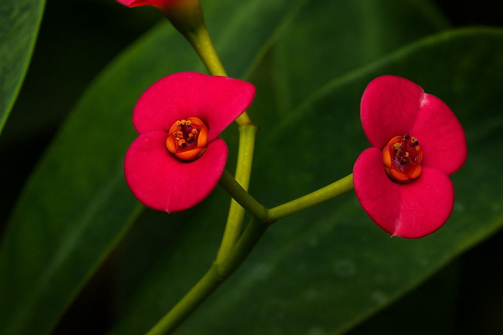 Photograph by Ambewadikar sourabh