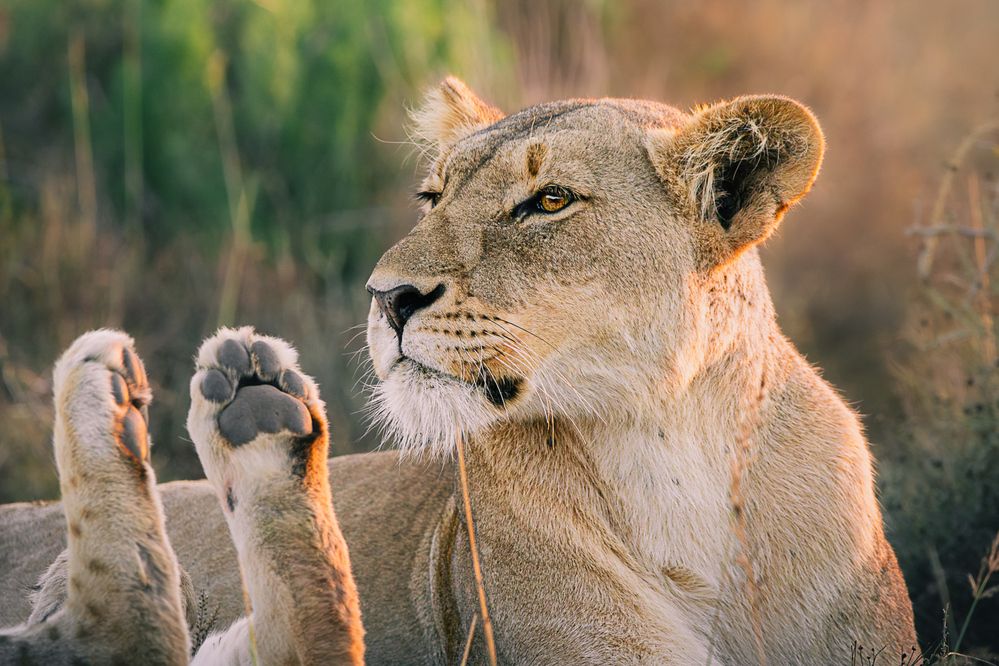 A Mother\'s Protection