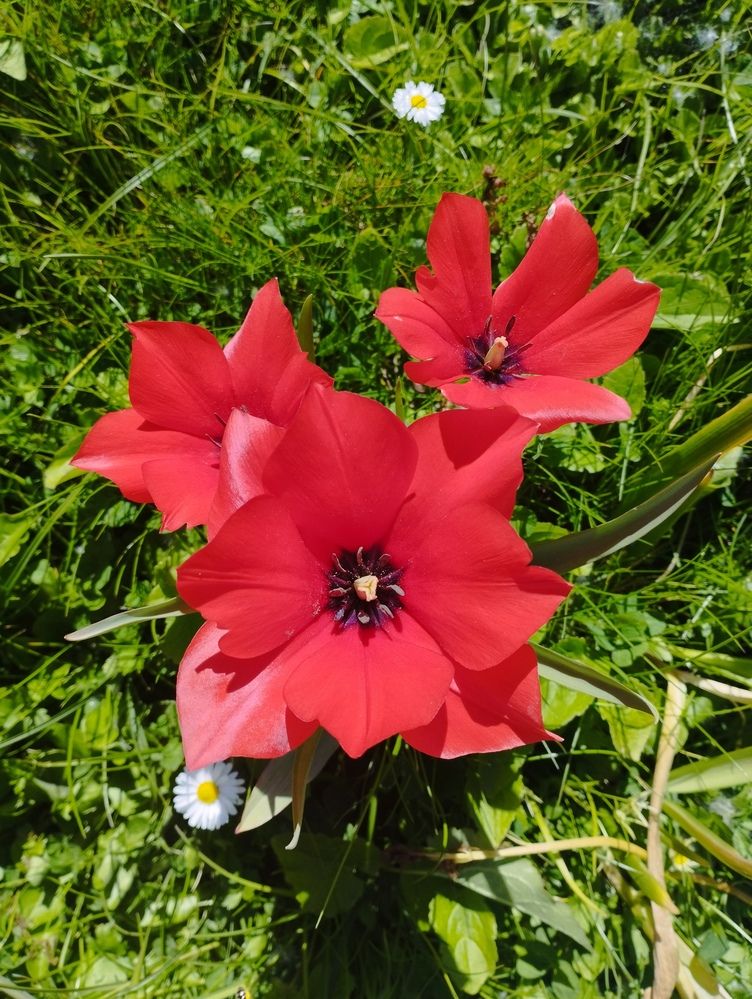 Photograph by Ольга Пилявская