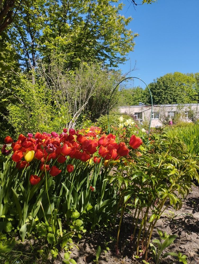 Photograph by Ольга Пилявская