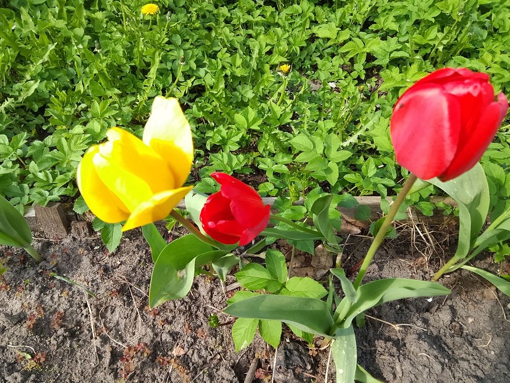 Photograph by Азаренкова Ирина