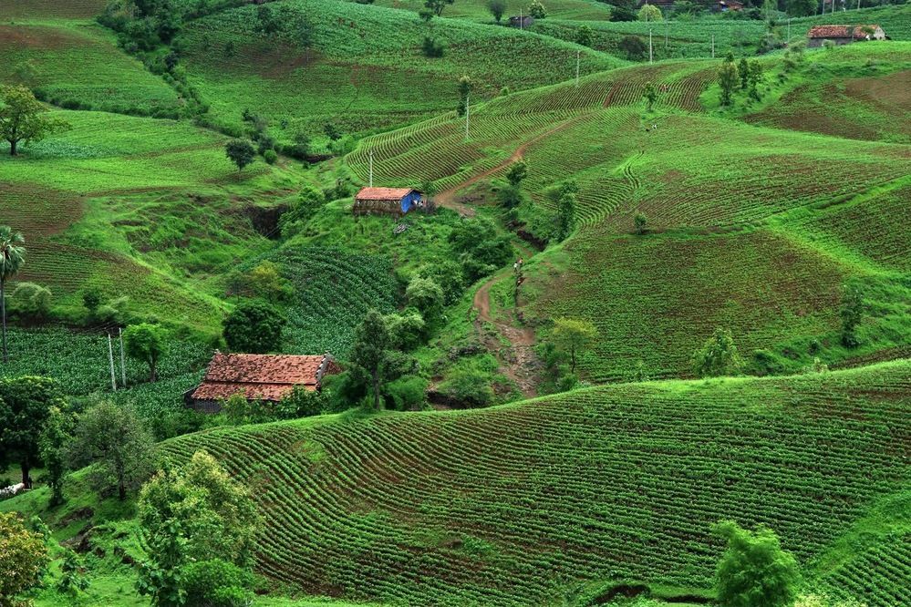 Фотография автора NARAYAN PATEL