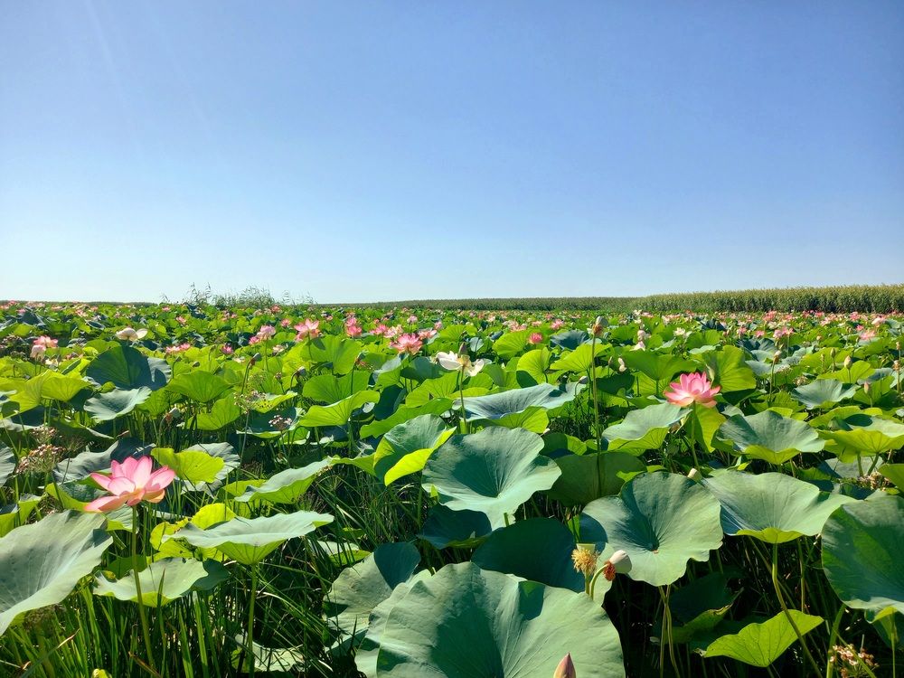 Photograph by Ольга Юрченко