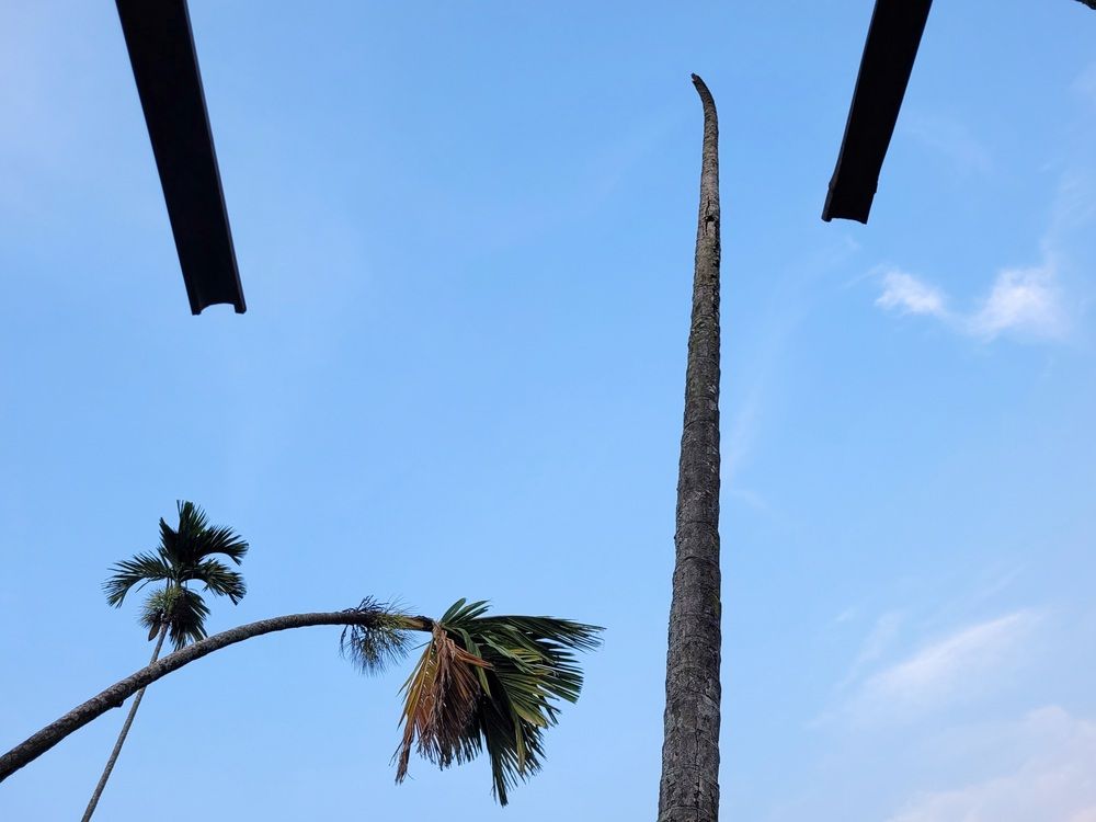 Photograph by Dipu chakraborty