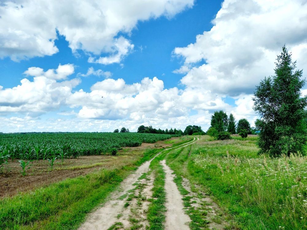 Photograph by Ольга Юрченко