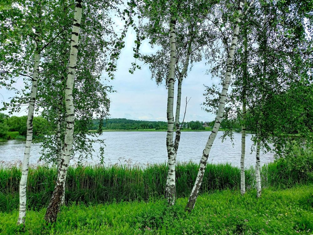 Photograph by Ольга Юрченко