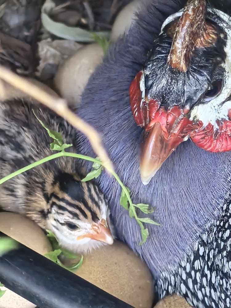 Photograph by Volkan Özdemir