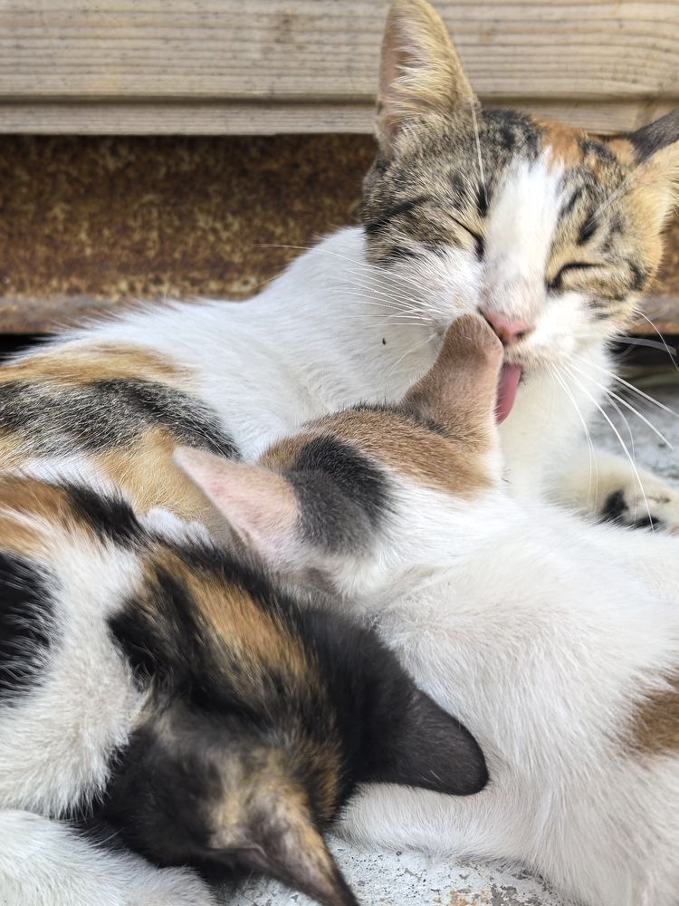 Photograph by Volkan Özdemir