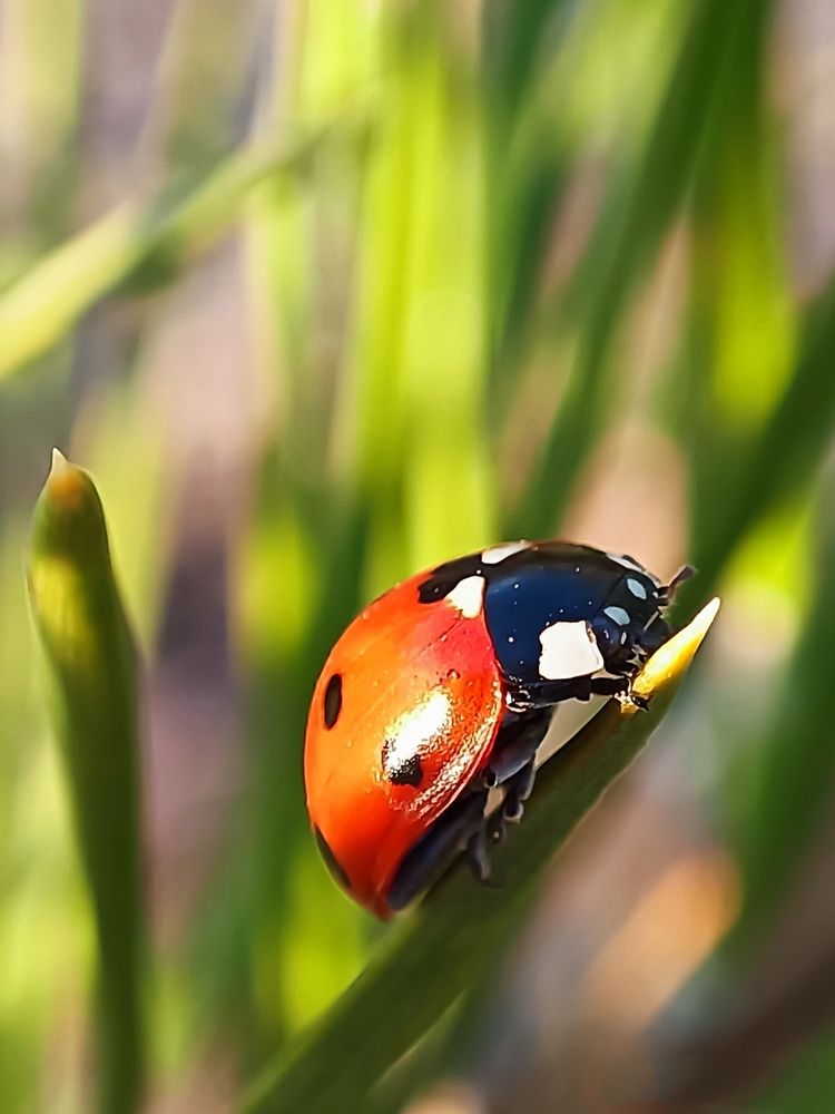 Photograph by Алена