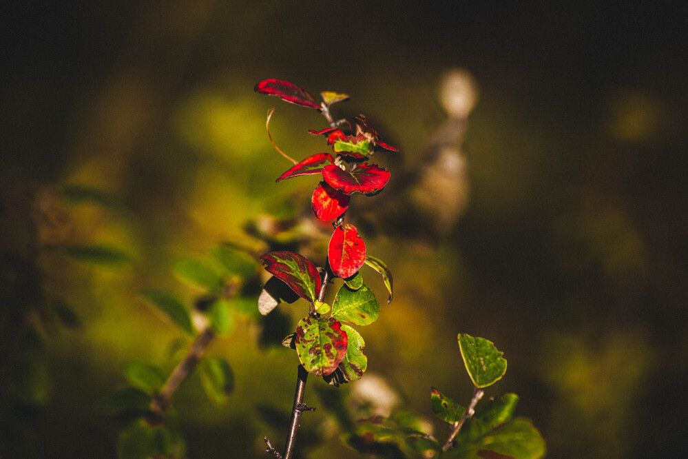 Photograph by Евгений Авдеев