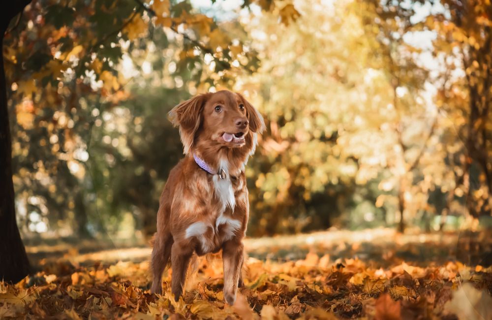 Photograph by Варя Тихонова