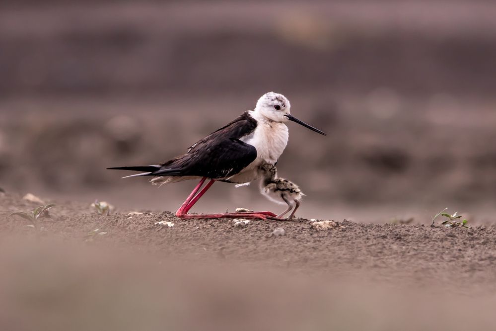 Photograph by Алёна Газукина