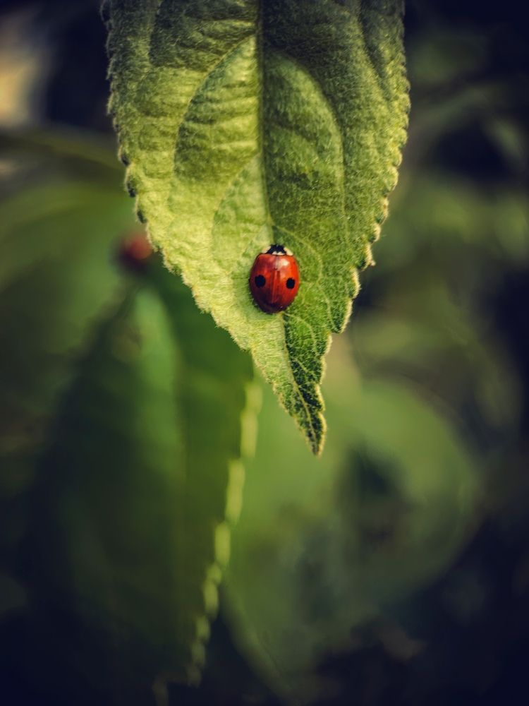 Photograph by Юлия Носкова