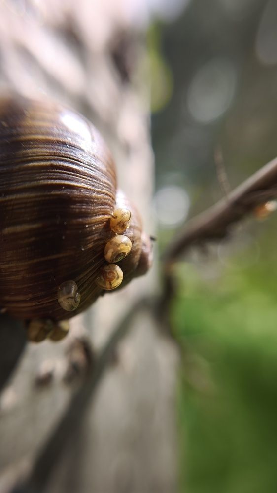 Photograph by Eugenia Blinova