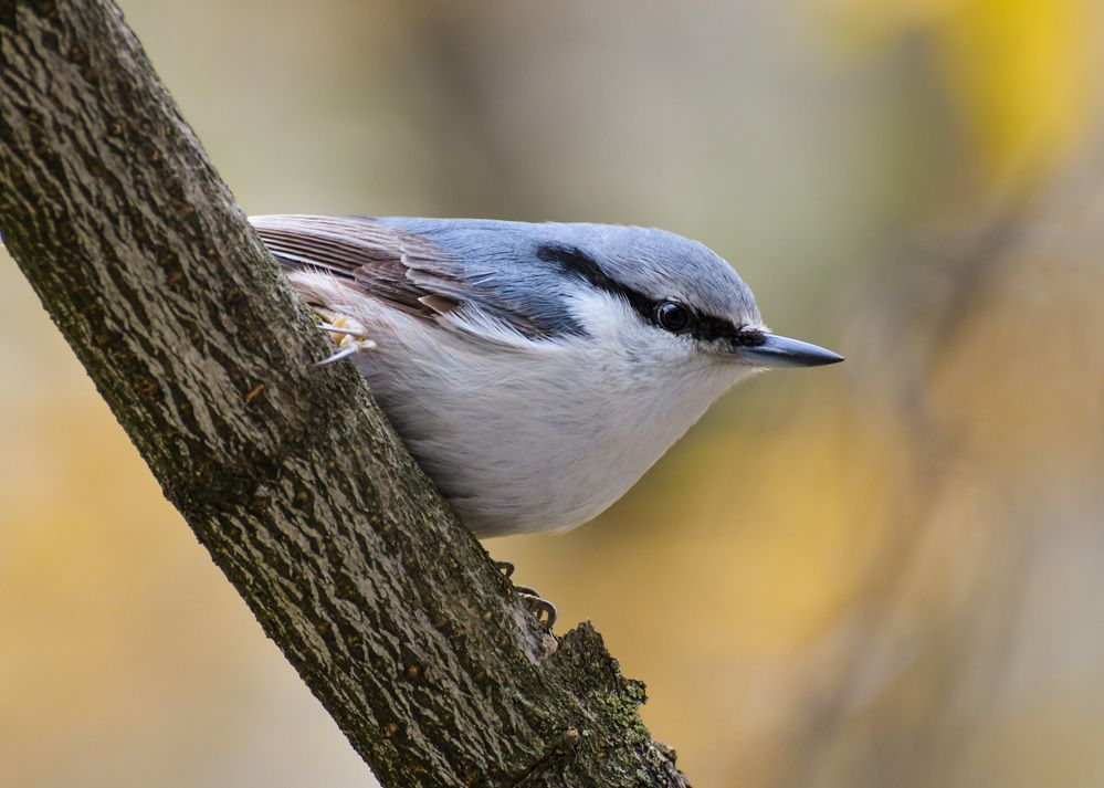 Photograph by Наталья Екимова