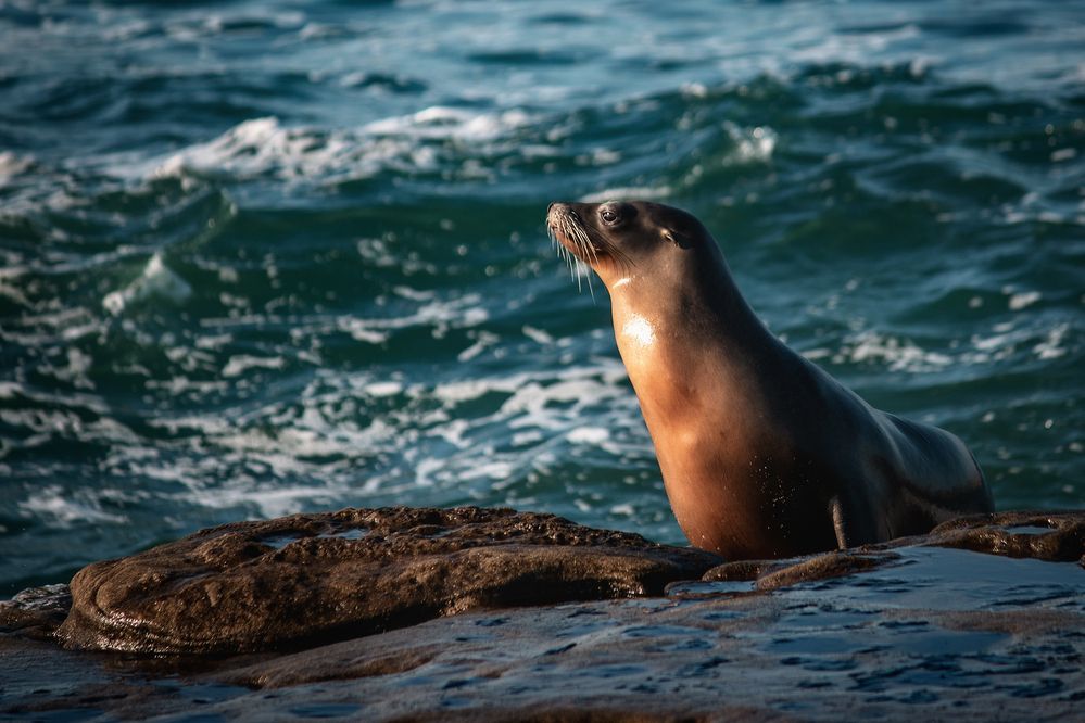 Photograph by Александр Волков