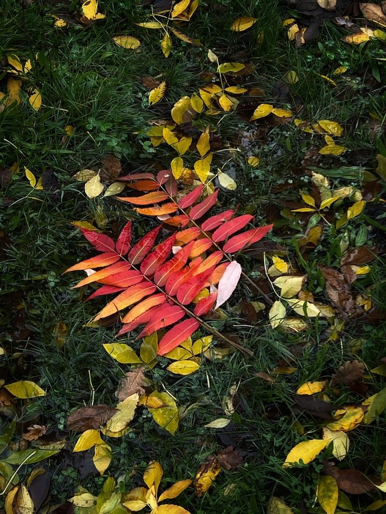 Photograph by Яна Сел