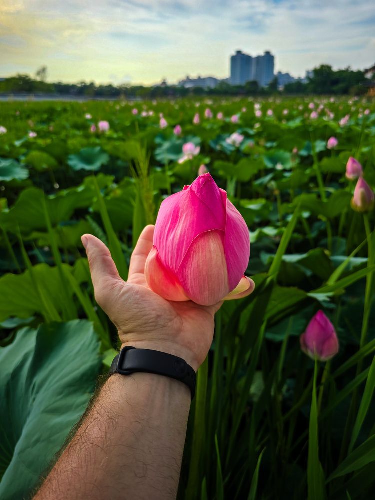 Фотография автора Алексей Ефимов