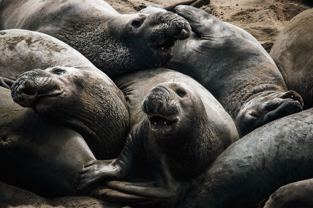 Photograph by Александр Волков