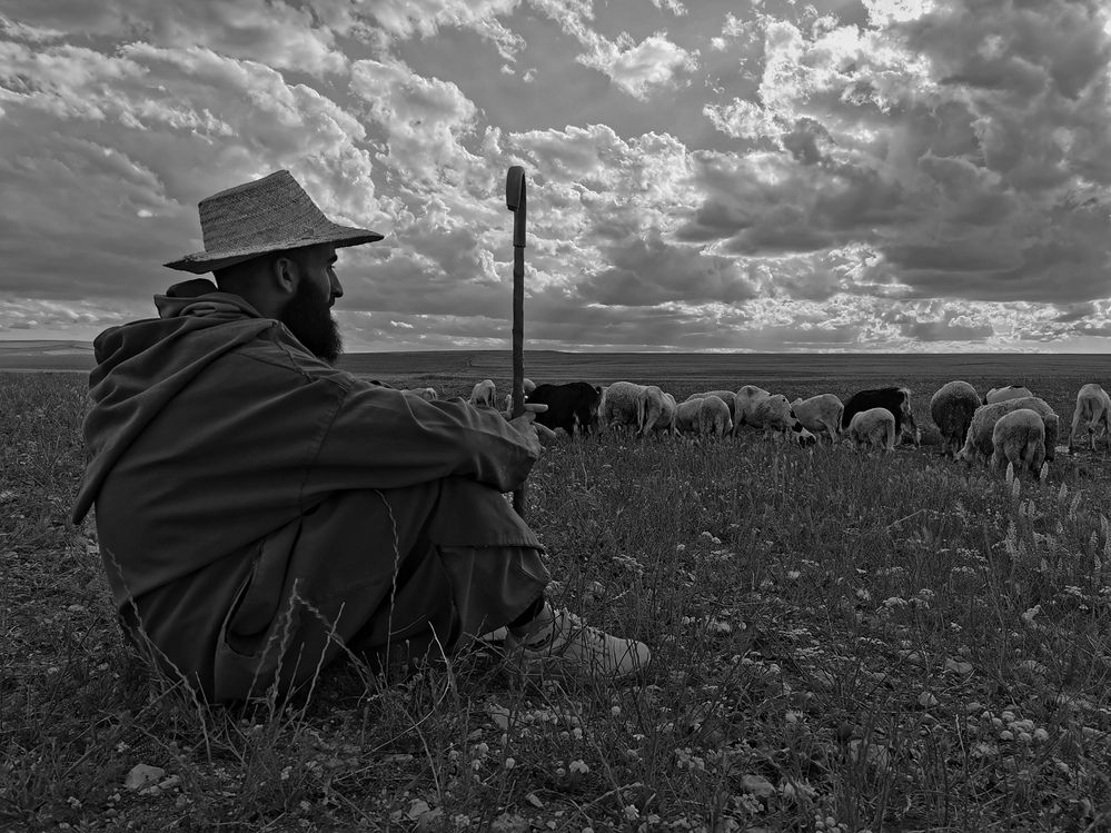 Photograph by Azzeddine Memmou