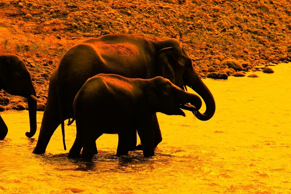 Photograph by pankaj kapoor