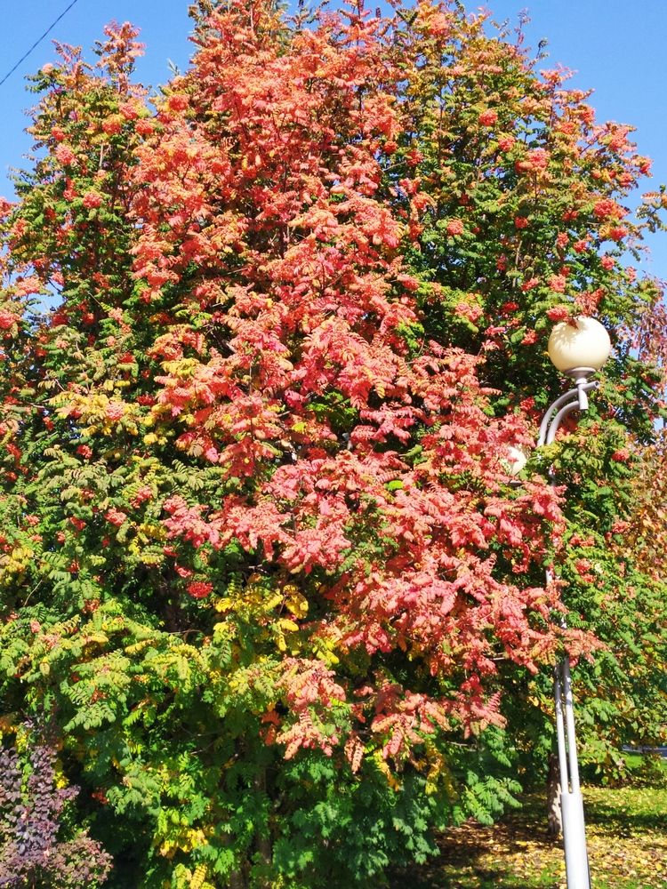 Photograph by Татьяна Клемба