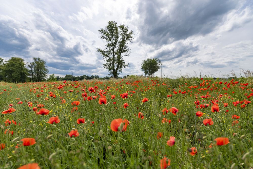Photograph by Алексей Новиков