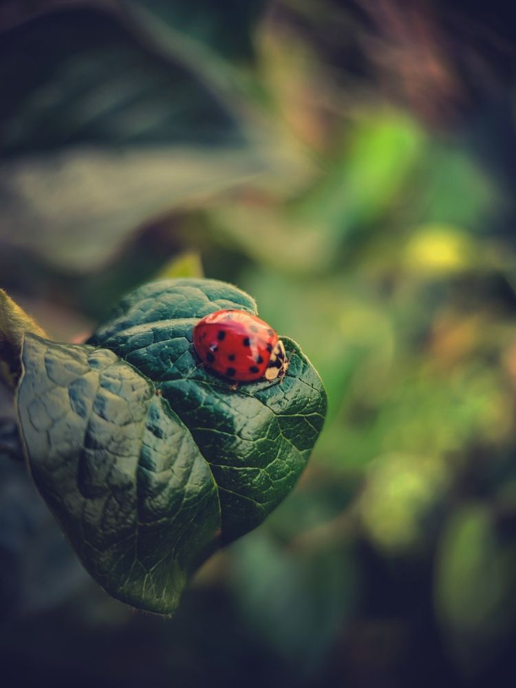 Photograph by Юлия Носкова